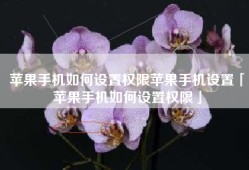 苹果手机如何设置权限苹果手机设置「苹果手机如何设置权限」