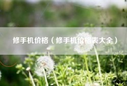 修手机价格（修手机价格表大全）