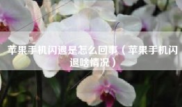 苹果手机闪退是怎么回事（苹果手机闪退啥情况）