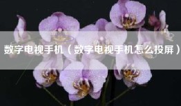 数字电视手机（数字电视手机怎么投屏）