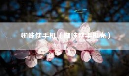 蜘蛛侠手机（蜘蛛侠手机壳）