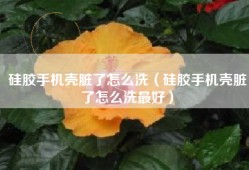 硅胶手机壳脏了怎么洗（硅胶手机壳脏了怎么洗最好）