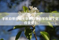 手机自带音乐（手机自带音乐在哪个文件夹里）