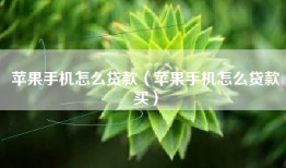 苹果手机怎么贷款（苹果手机怎么贷款买）