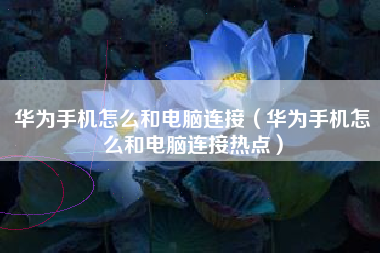 华为手机怎么和电脑连接（华为手机怎么和电脑连接热点）