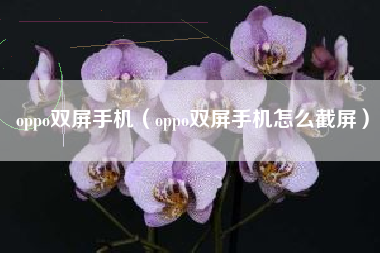 oppo双屏手机（oppo双屏手机怎么截屏）