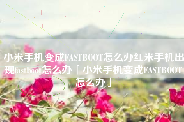 小米手机变成FASTBOOT怎么办红米手机出现fastboot怎么办「小米手机变成FASTBOOT怎么办」